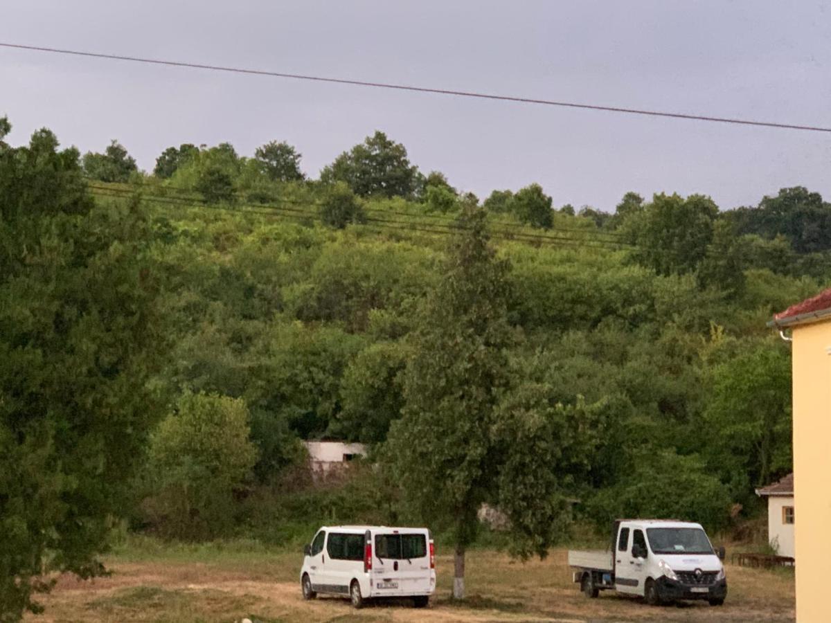 Pensiune Casa Munteanu Baratca Exterior foto